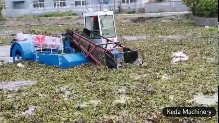 Raccoglitrice idraulica per giacinto d'acqua/erbacce acquatiche/lenticchia d'acqua/canne