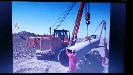 Posatubi cingolato tipo palude da 40 tonnellate (DGY40S)