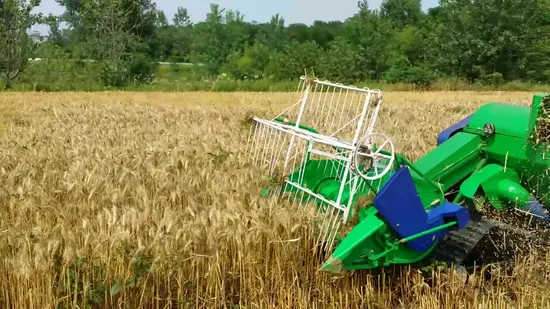 Macchina per la raccolta della mietitrebbiatrice mietitrebbiatrice per risone Mietitrebbia Acme Factory