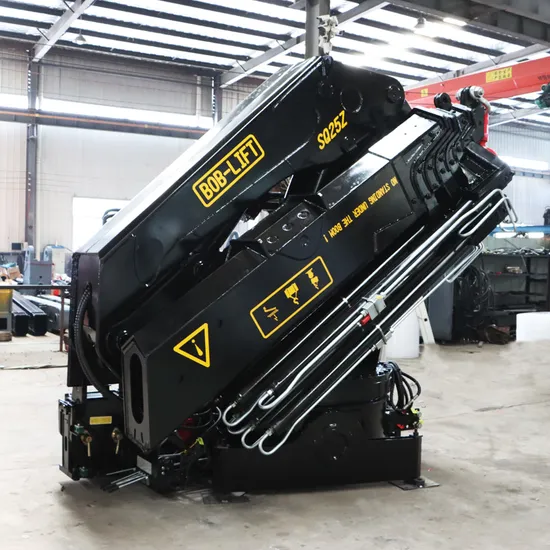 Gru montata su camion idraulica da 6,3 tonnellate del produttore cinese in vendita