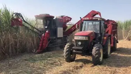 Mietitrice per canna da zucchero con taglio a trasmissione idrostatica di vendita calda